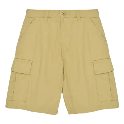 Vans SERVICE CARGO SHORT Rövidnadrágok Bézs