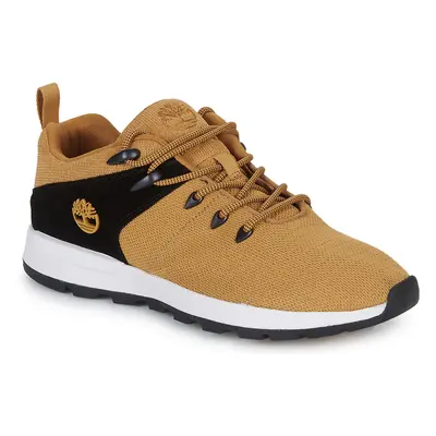 Timberland SPRINT TREKR LOW KNIT Rövid szárú edzőcipők Barna