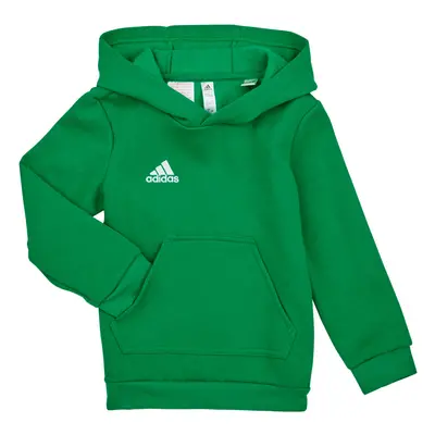 adidas ENT22 HOODY Y Pulóverek Zöld