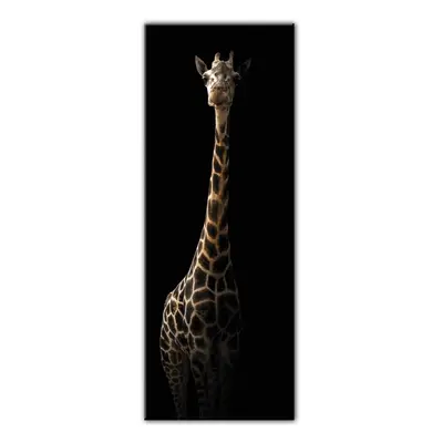 Glas Animals Gira kép, 50 x 125 cm - Styler