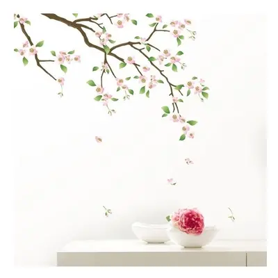 Cherry Blossom falmatrica - Ambiance