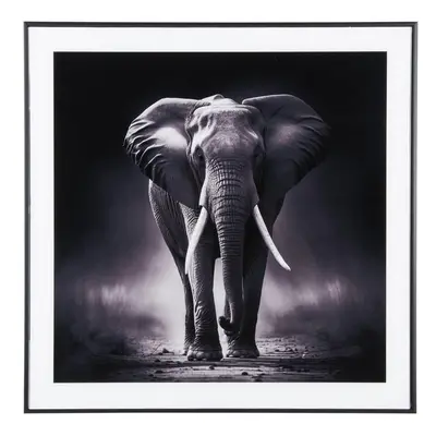 Kép 50x50 cm Elephant – PT LIVING