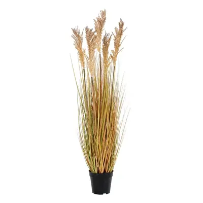 Fű műnövény (magasság 110 cm) Sorghum – House Nordic