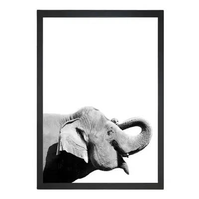 Poszter 24x29 cm Damarion Elephant – Tablo Center