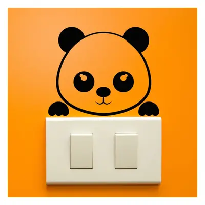 Panda Plug falmatrica - Ambiance