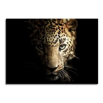 Üveg kép 70x100 cm Leopard - Styler