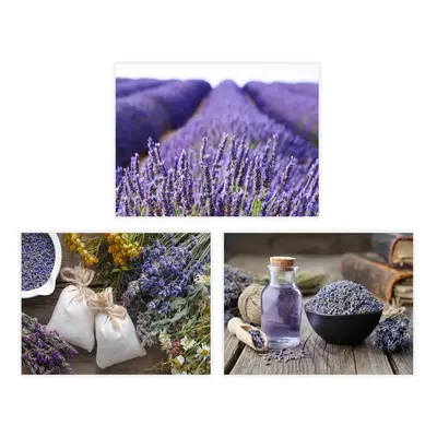 Kép szett 3 db-os 30x40 cm Lavender – Casa Selección