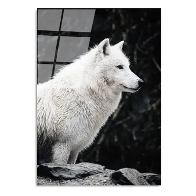 Üveg kép 70x100 cm White Wolf – Wallity