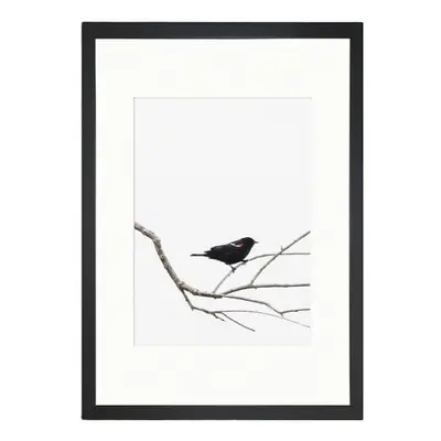 Poszter 24x29 cm Bird on the Branch – Tablo Center