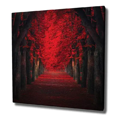 Red Trees vászon fali kép, 45 x 45 cm