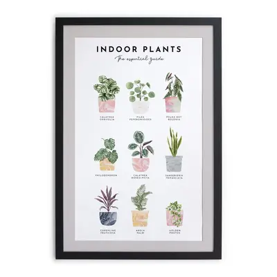 Indoor Plants keretezett fali kép, 30 x 40 cm - Really Nice Things