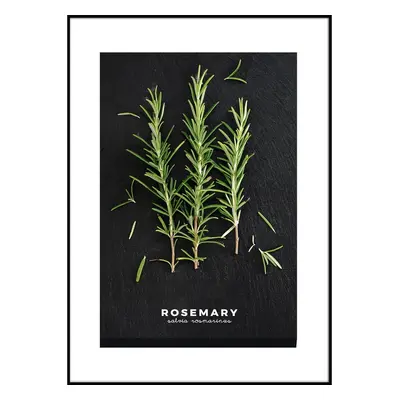 Keretezett poszter 50x70 cm Rosemary – Styler