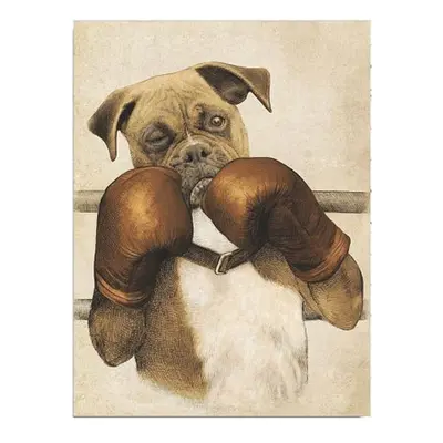 Boxer vászon fali kép, 30 x 40 cm