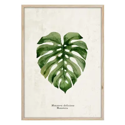 Keretezett poszter 50x70 cm Monstera – Styler