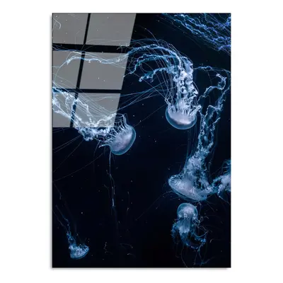 Üveg kép 70x100 cm Jelly Fish – Wallity