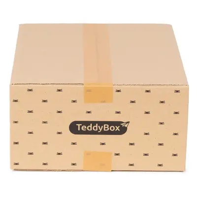 Teddy 3 db-os bézs tárolódoboz szett, 35 x 15 cm - Compactor