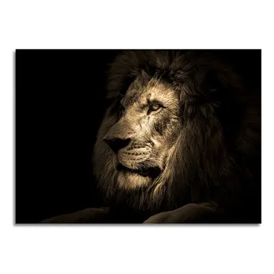 Üveg kép 70x100 cm Lion - Styler