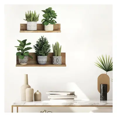 Falmatrica 60x35 cm 3D effect Green Plants – Ambiance