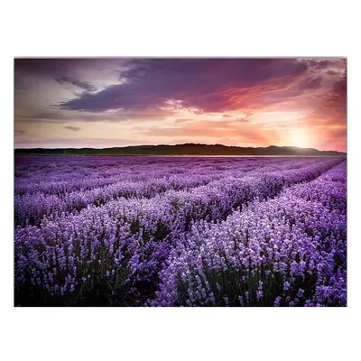 Kép 100x70 cm Lavender Field – Wallity