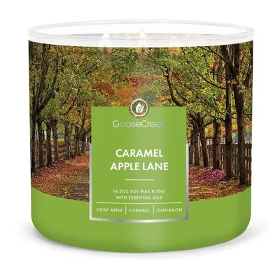 Caramel Apple Lane illatgyertya, égési idő 35 óra - Goose Creek