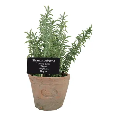 Műnövény (magasság 21,5 cm) Thyme – Esschert Design