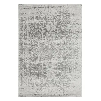 Szürke szőnyeg 200x290 cm Nova – Asiatic Carpets