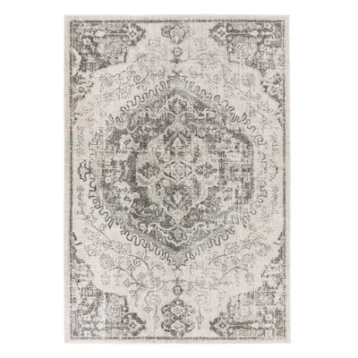 Szürke-krémszínű szőnyeg 200x290 cm Nova – Asiatic Carpets