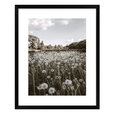 Poszter 40x50 cm Meadow