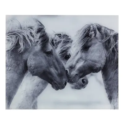 Edzett üveg falvédő tűzhelyhez 50x60 cm Horses – Wenko