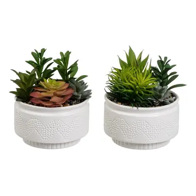 Műnövény szett 2 db-os (magasság 19 cm) Cactus – Casa Selección