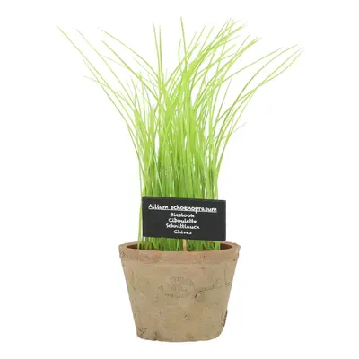 Műnövény (magasság 27 cm) Chives – Esschert Design