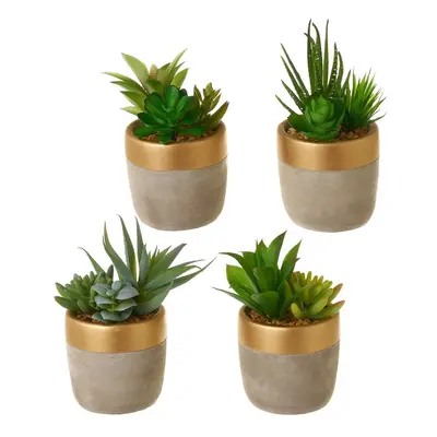 Műnövény szett 4 db-os (magasság 17 cm) Cactus – Casa Selección