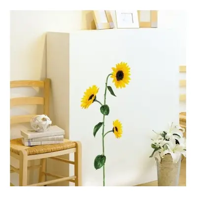 Sun Flowers falmatrica - Ambiance