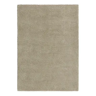 Bézs szőnyeg 200x200 cm – Flair Rugs