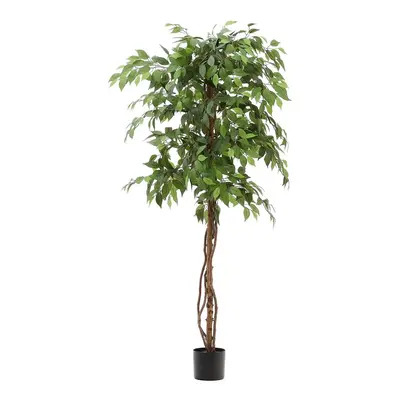 Fikusz műnövény (magasság 180 cm) Ficus – Kave Home