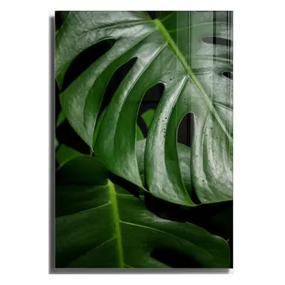 Üveg kép 50x70 cm Monstera – Wallity