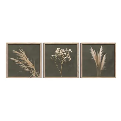 Kép szett 3 db-os 30x30 cm Pampas – Styler