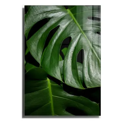 Üveg kép 70x100 cm Monstera – Wallity