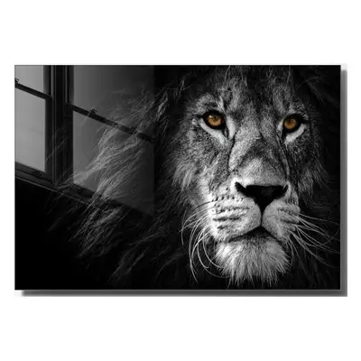 Üveg kép 70x50 cm Lion – Wallity