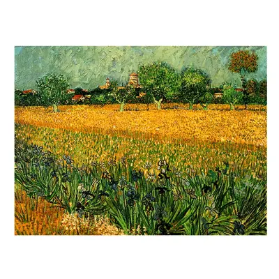 Vincent van Gogh - View of arles with irises in the foreground festményének másolata, 40 x 30 cm