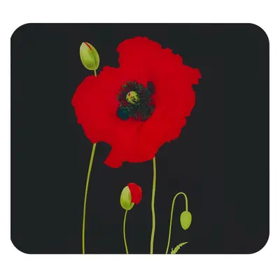 Edzett üveg falvédő tűzhelyhez 50x56 cm Poppy – Maximex