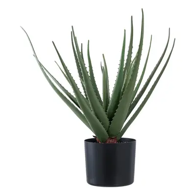 Műnövény (magasság 51 cm) Aloe Vera – House Nordic