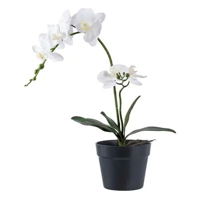 Művirág (magasság 47 cm) Orchid – House Nordic