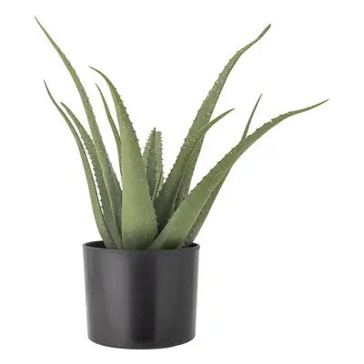 Műnövény (magasság 61 cm) Aloe – Bloomingville