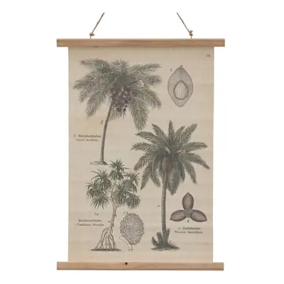 Faliszőnyeg 50x70 cm Palm – Ixia