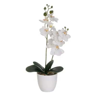 Művirág (magasság 39 cm) Orchid – Casa Selección