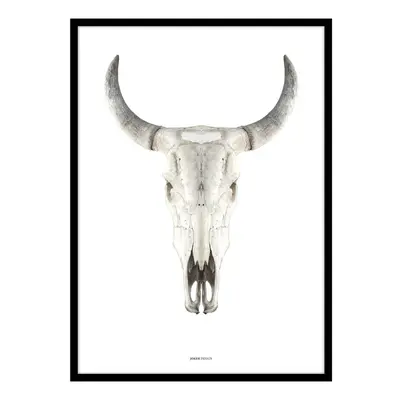 Keretezett poszter 50x70 cm Cow Skull – Malerifabrikken