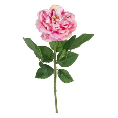 Művirág (magasság 43 cm) Rose – Ixia