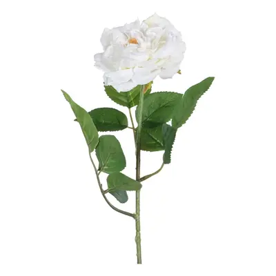 Művirág (magasság 43 cm) Rose – Ixia