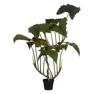 Műnövény (magasság 185 cm) Alocasia – Ixia